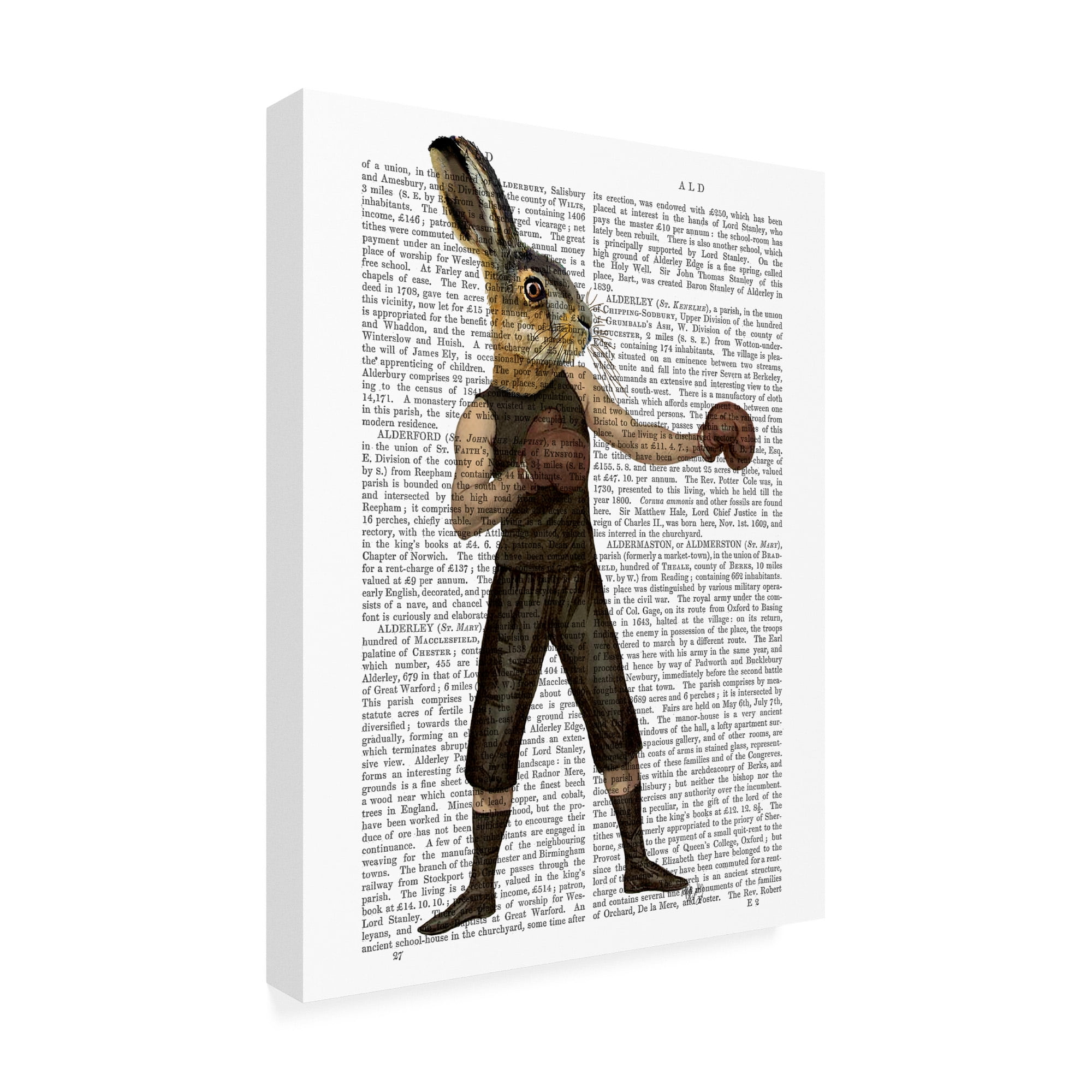 Trademark Fine Art 'Boxing Hare Gloves' Canvas Art by Fab Funky