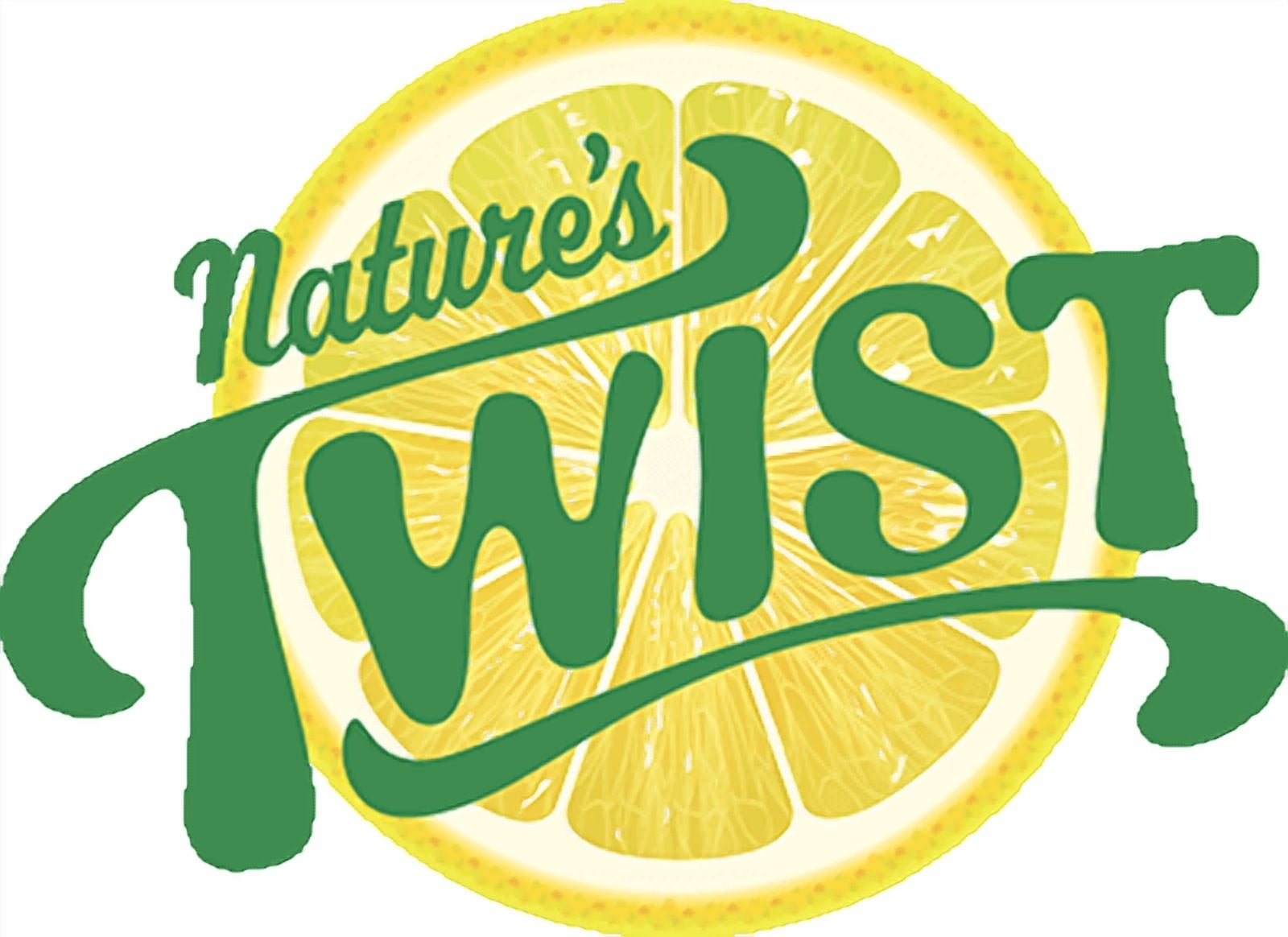 Nature's Twist Sugar Free Lemonade, 16.9 Ounce (24 Pack)