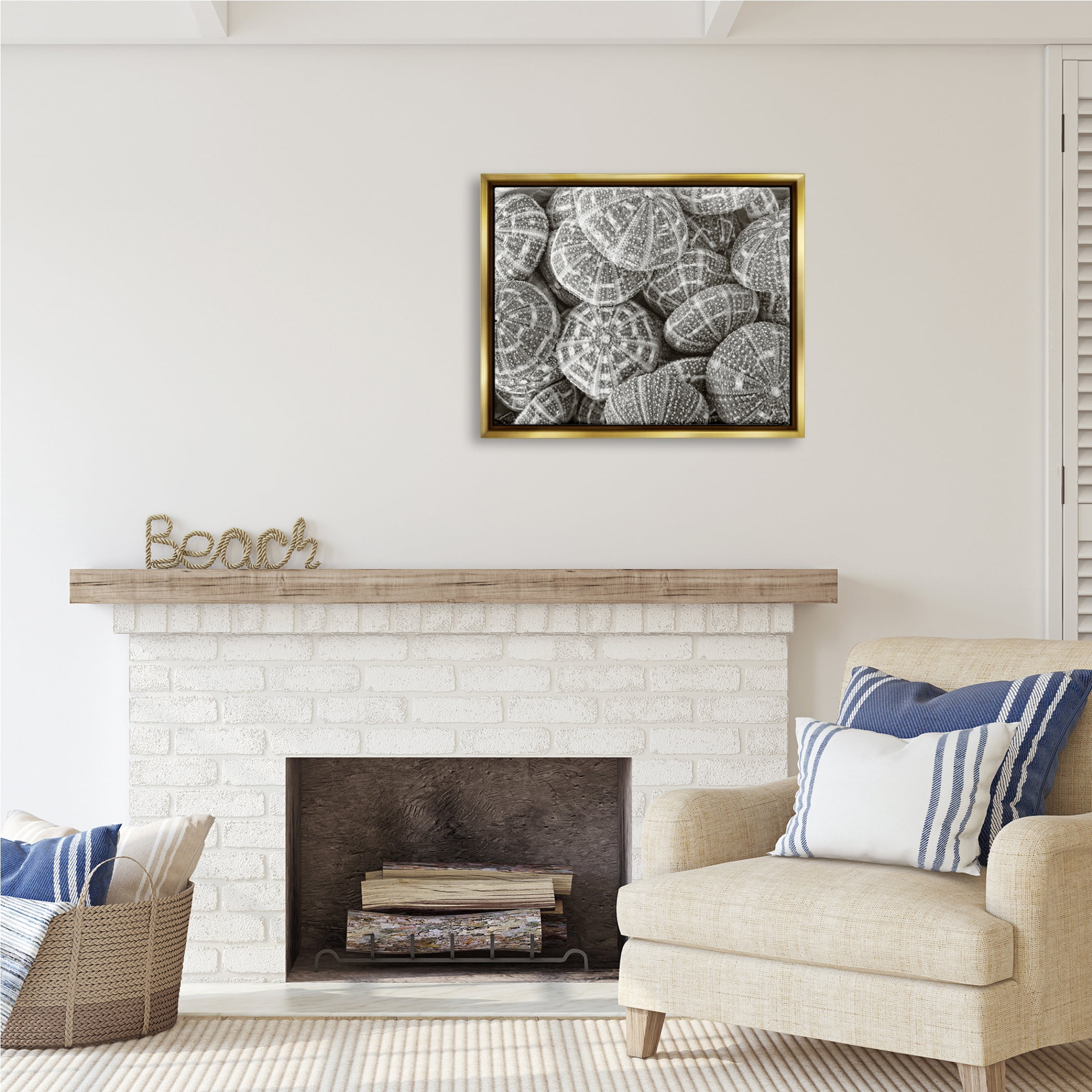 Stupell Industries Pewter Sea Urchins Photography Animals & Insects Photography Gold Floater Framed Art Print Wall Art, 31 x 25