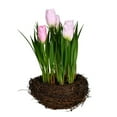 thumbnail image 1 of Vickerman FO194509 Tulipes Roses dans un Nid d'Oiseau en Pot, 1 of 3