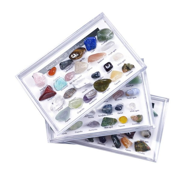 24x Rock Mineral Collection Set & Collection Box Science