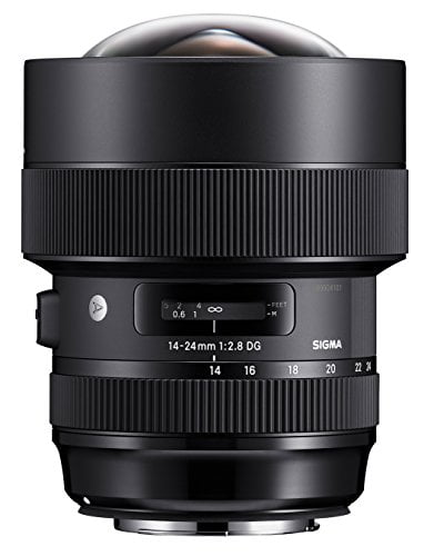Sigma 14-24mm F2.8 DG DN | Sony E Mount (213965) - Walmart.com