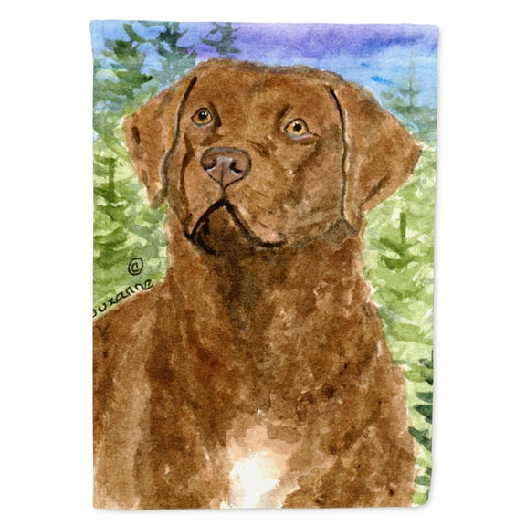 Caroline's Treasures SS8933-FLAG-PARENT Chesapeake Bay Retriever Flag, , multicolor