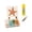 #01N A, variant on DIY Sea Glass Art Kit - Ocean Life Craft Set for Adults and Kids, A