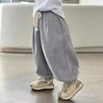 thumbnail image 4 of Glisme Boys Casual Jogger Pants Elastic Waist Drawstring Sweatpants Grey Breathable Trousers Size 2-3 Years, 4 of 4