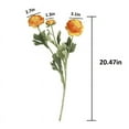 thumbnail image 3 of 5PCS Artificial Ranunculus Flowers with Real Touch Stem Silk Ranunculus Flowers for Household Arrangement,20inch, 3 of 3