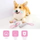 thumbnail image 2 of Juego de juguetes para perros, juguete duradero con cuerda para masticar para perros pequeños y medianos, 2 of 4