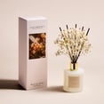 thumbnail image 3 of COCORRÍNA Moroccan Amber Reed Diffuser Set, 3 of 5