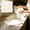 White#3, variant on Microfiber Cleaning Cloth Heavy Duty Absorbent Coarse Stripe Texture Lint-Free, Fast Drying, Scratch Safe Kitchen, Bathroom, Car Detailing