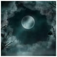 thumbnail image 2 of ABPHOTO Polyester Moon Background Scenic Background for Studio Photo Props Moon Photographic Backdrops 5x7ft, 2 of 3