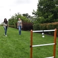 thumbnail image 4 of Ladder Golf® Single Ladder Ball Game, 4 of 6