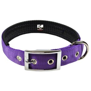Downtown Pet Supply Padded Dog Collar, Purple, Large