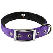 Downtown Pet Supply Dog Collars for Small Dogs Padded Dog Collar Purple, S