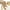 Khaki, variant on TAIAOJING Toddler Baby Kids Girls Soft Warm Winter Tights Stocking Cotton Full Length Pants Tights Children Leggings Pantyhose Trendy Clothes, 0-3 Months