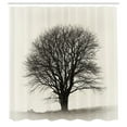 thumbnail image 3 of Ambesonne Country Shower Curtain, Branch Tree Field, 69"Wx75"L, Ivory Dark Grey, 3 of 5