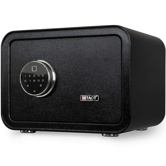 Intact Compact à Accès Rapide, Sécuritaire pour Pistolet à Empreinte Digitale Biométrique avec Module à Clavier Complet Nex-Gen, Grand