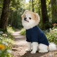 thumbnail image 7 of Denbek Dog Clothes,   Cotton Dog Tee Shirt for Small Dogs Teacup Chihuahua Yorkie Puppy Clothes Easy-On, Yellow-M, 7 of 7