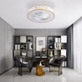 thumbnail image 5 of 20'' Caged Low Profile Ceiling Fan with Light, Flush Mount Farmhouse Quiet Fandelier with Remote Control, 3 Color/3 Wind Speed/Timer, Small Gold Enclosed Bedroom Kitchen Ceiling Fan, 5 of 9