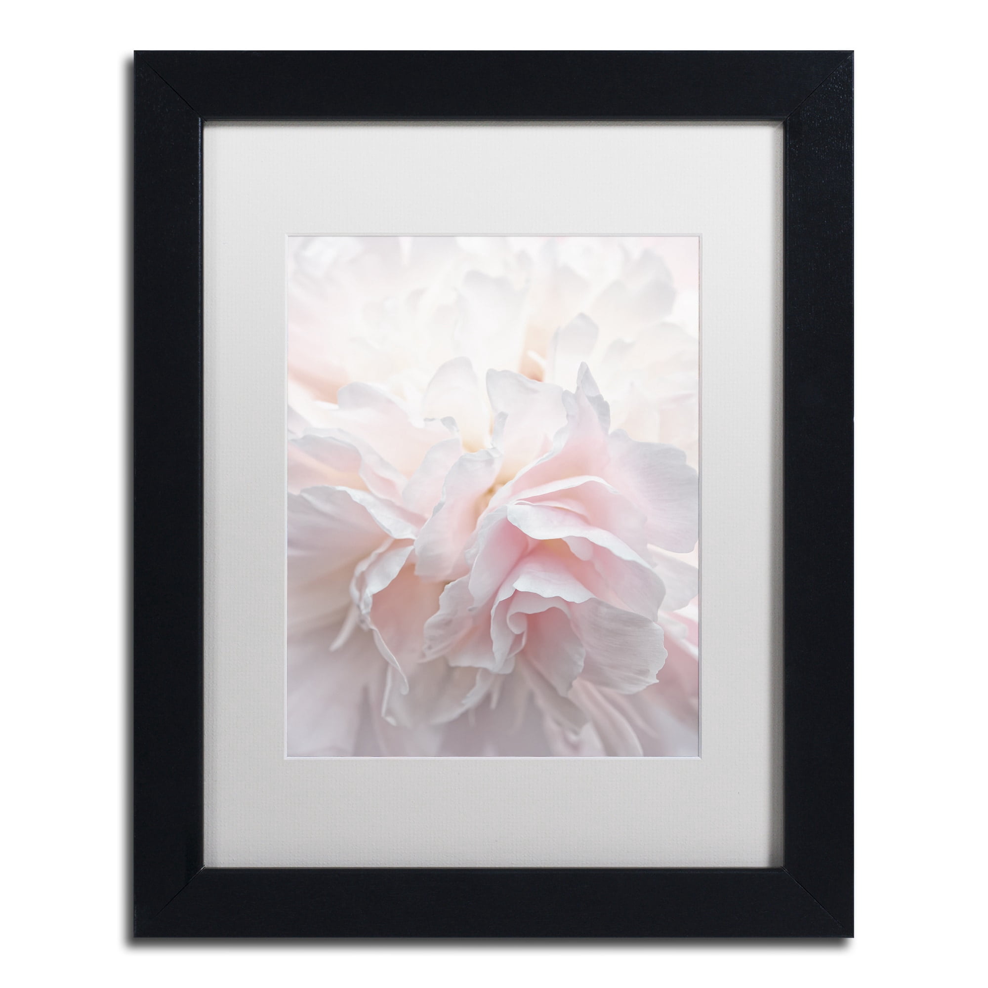 Trademark Fine Art 'Pink Peony Petals IV' Canvas Art by Cora Niele, White Matte, Wood Frame