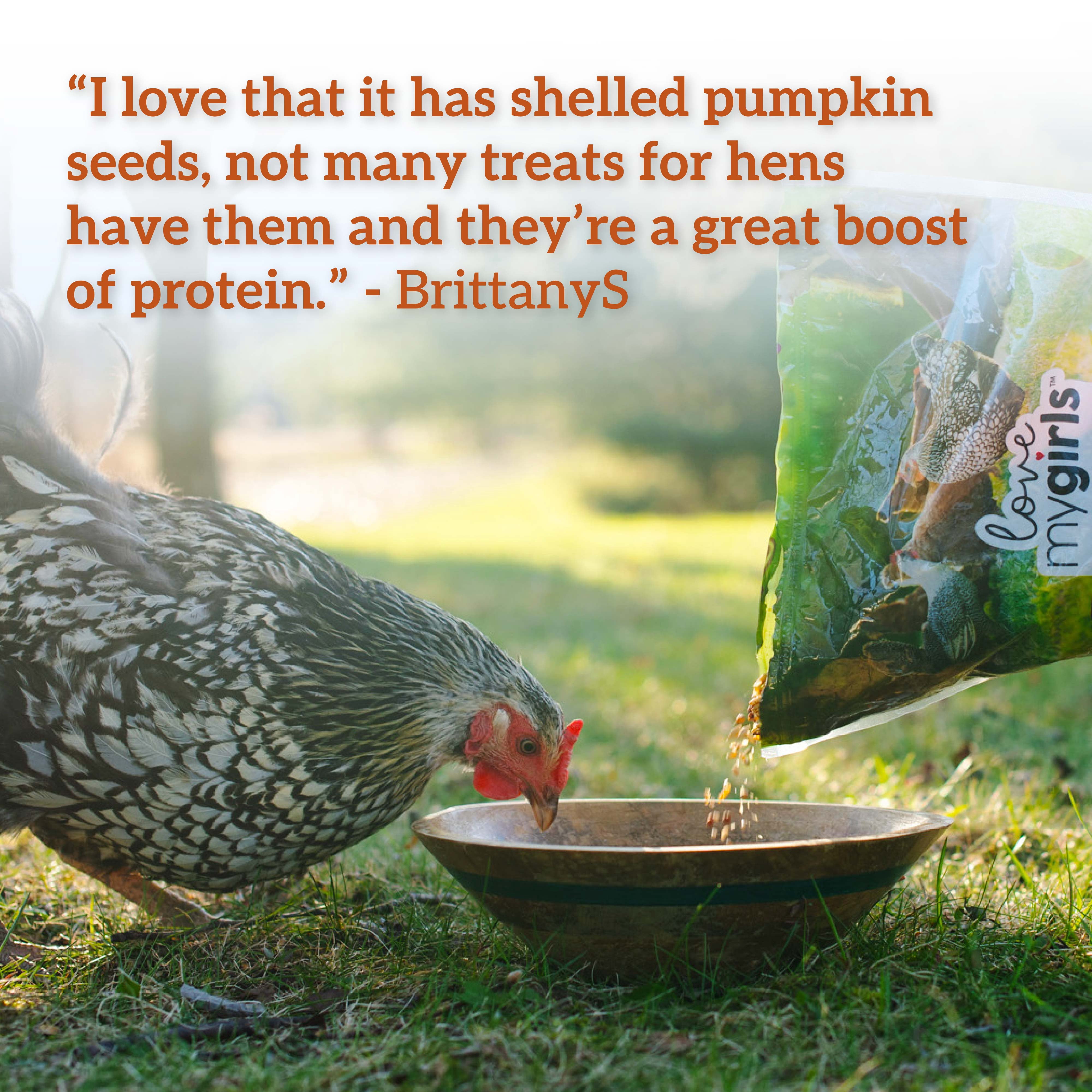 (2 pack) Love My Girls Pumpkin & Worms Gourmet Multi-Grain Chicken Treats, 2 lb. Bag, 1-Pack