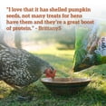 thumbnail image 6 of Love My Girls Pumpkin & Worms Gourmet Multi-Grain Chicken Treats, 2 lb. Bag, 1-Pack, 6 of 7