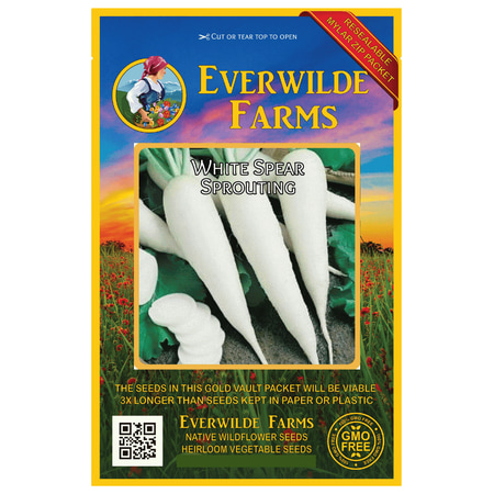 Sprouting Radish Seeds Everwilde Farms - 500 White Spear Sprouting Radish Seeds - Gold Vault Jumbo Bulk Seed Packet ()