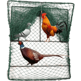 12 Bird Trap Net,Humane Live Pigeon Traps,Bird Traps for Small Birds  Pigeons Sparrow Quail Hunting Cage Traps