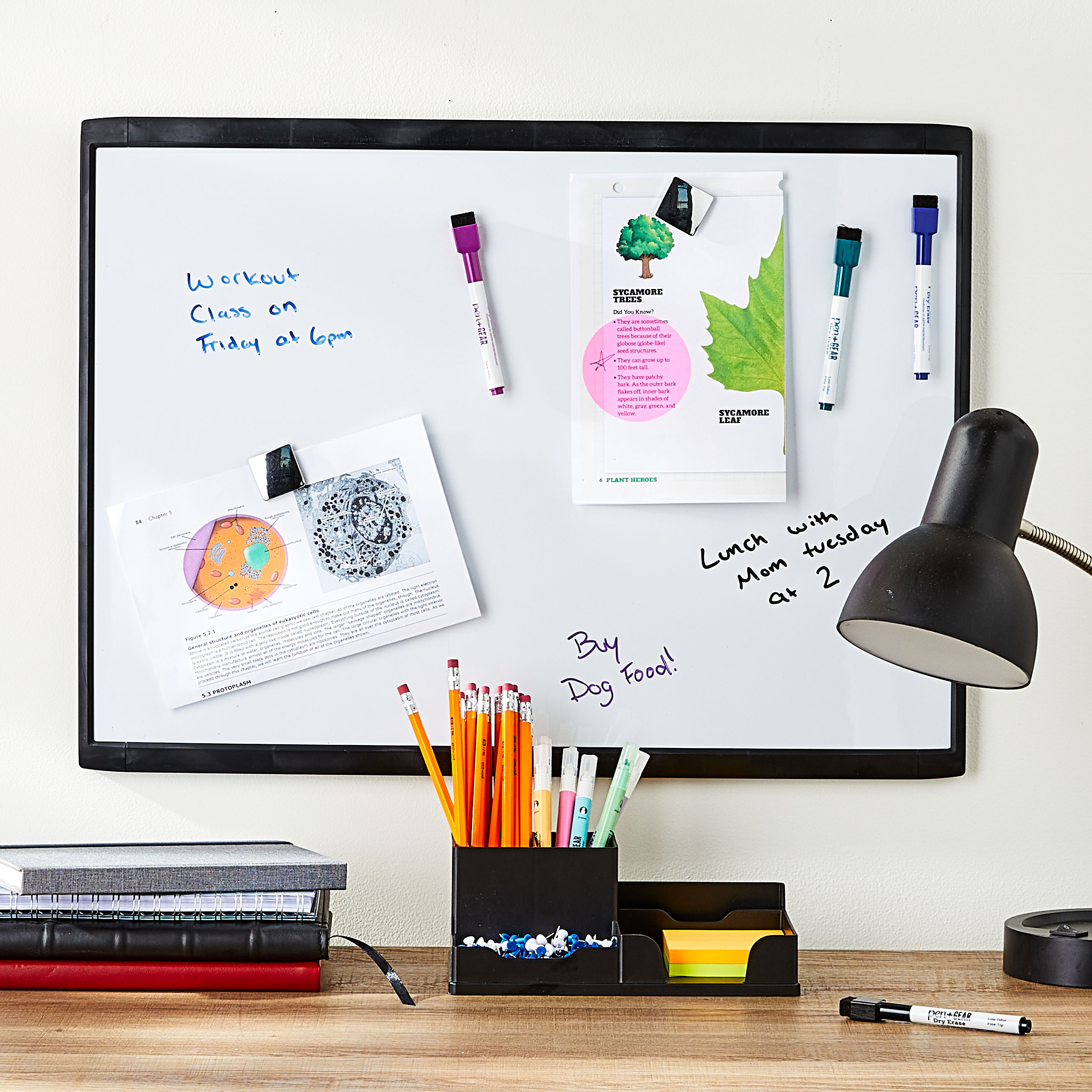 Pen+Gear Magnetic Dry Erase Board, 17" x 23" photo 4