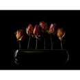 thumbnail image 3 of Hummel, Jeffrey 24x19 Black Modern Framed Museum Art Print Titled - Night Garden, 3 of 5