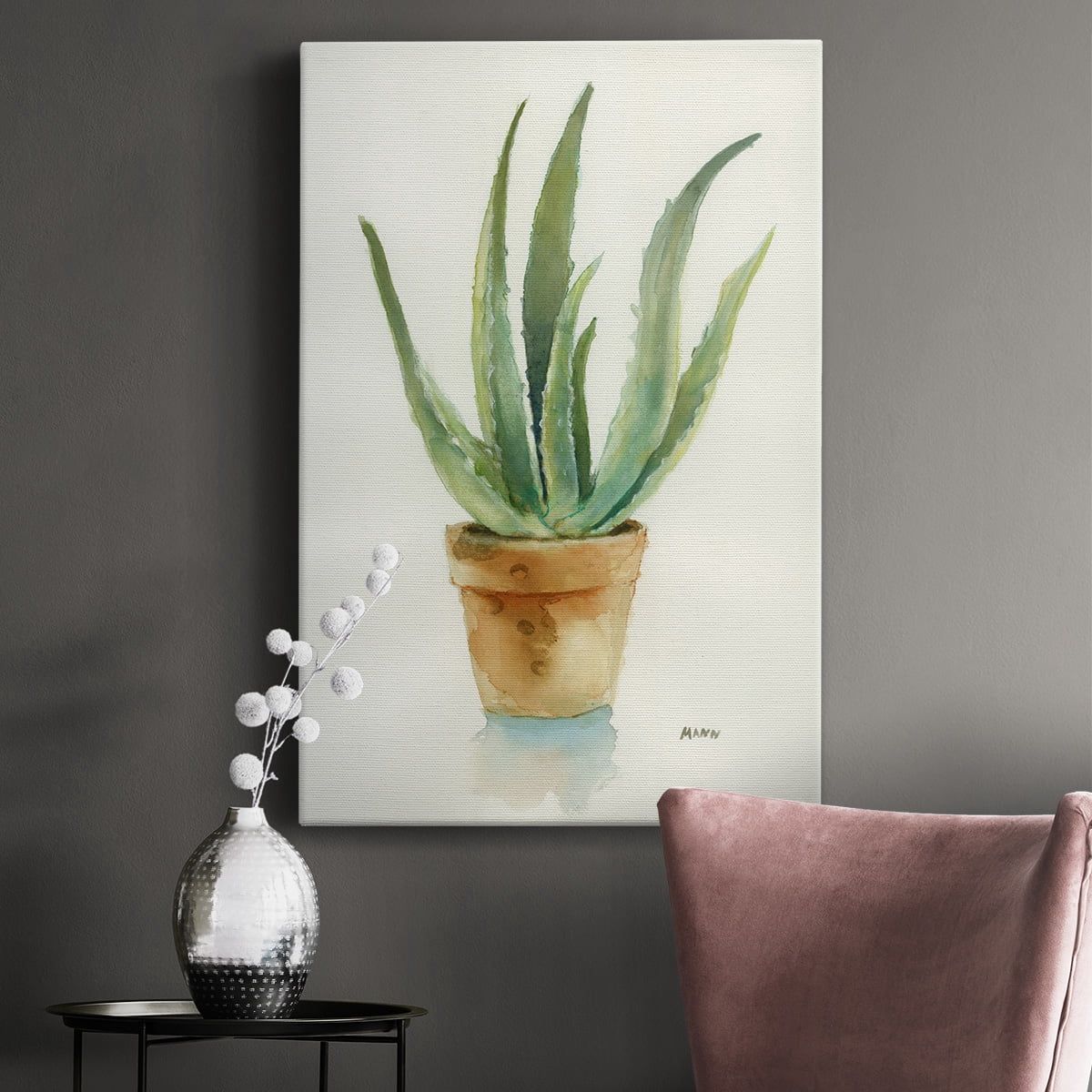 Succulent IV Premium Gallery Wrapped Canvas - Ready to Hang