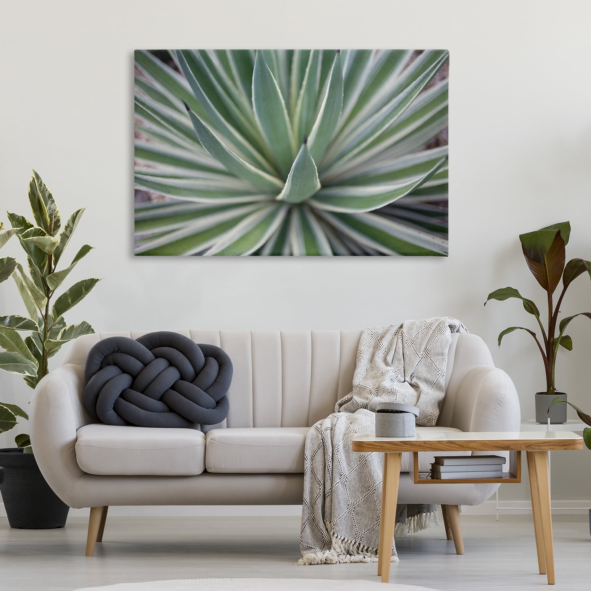 Stupell Industries Striped Plant Leaves Botanical & Floral Photography Gallery Wrapped Canvas Art Print Wall Art, 45 x 30