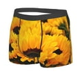 thumbnail image 2 of Kll Flower Bush Sunflower Men'S Cotton Boxer Briefs Underwear-Medium, 2 of 9