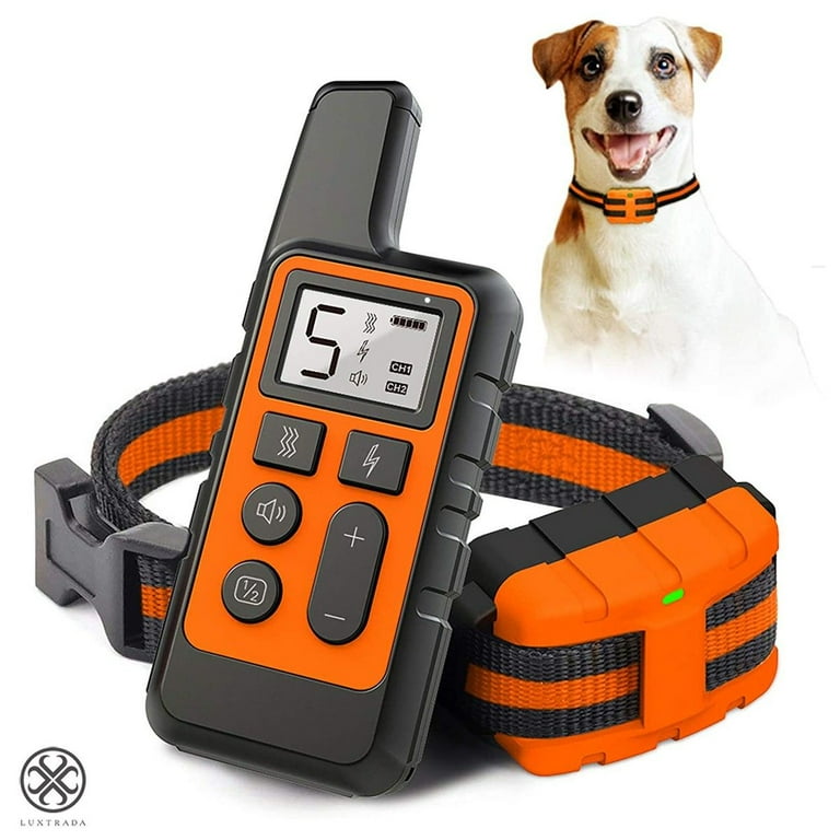 Remote control store electric dog collar