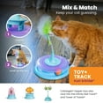 thumbnail image 3 of Catstages Race N' Chase Track Interactive Cat Ball Track Toy with Catnip Diffuser, Purple, 3 of 6