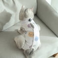 thumbnail image 6 of Cartoon Pattern Cat Weaning Suit Anti-Licking Surgical Recovery Suit – Skin-Friendly & Cute, 6 of 8