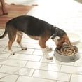 thumbnail image 4 of Tazón de Alimentación Lenta para Perros Franklin Pet Supply Cachorro Pequeño Mediano Grande, 4 of 7