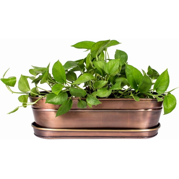 H Potter Jardinière pour Herbes et Succulentes Finition Cuivre Antique et Accents en Laiton Centre de Table Intérieur Extérieur Pot de Jardin Boîte pour Plante Support avec Plateau pour Succulentes Fleurs
