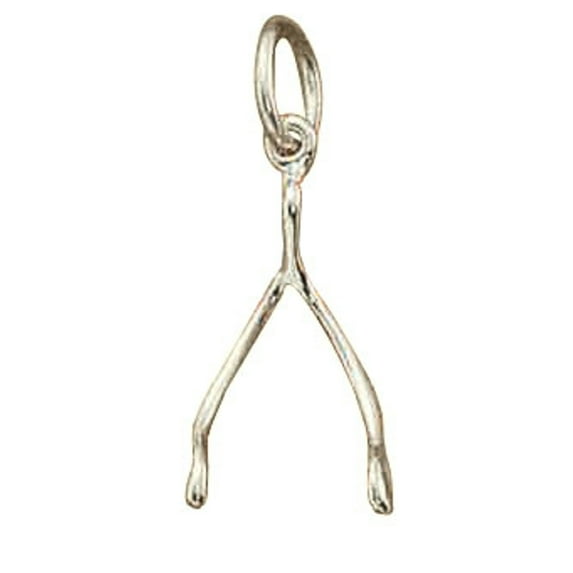 Sterling Silver 24" 1mm Box Chain 3D Turkey Wishbone Bone Good Luck Pendant Necklace
