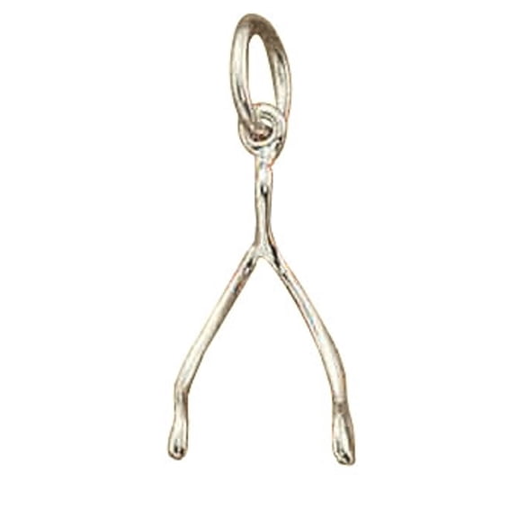 Sterling Silver 16" .8mm Box Chain 3D Turkey Wishbone Bone Good Luck Pendant Necklace