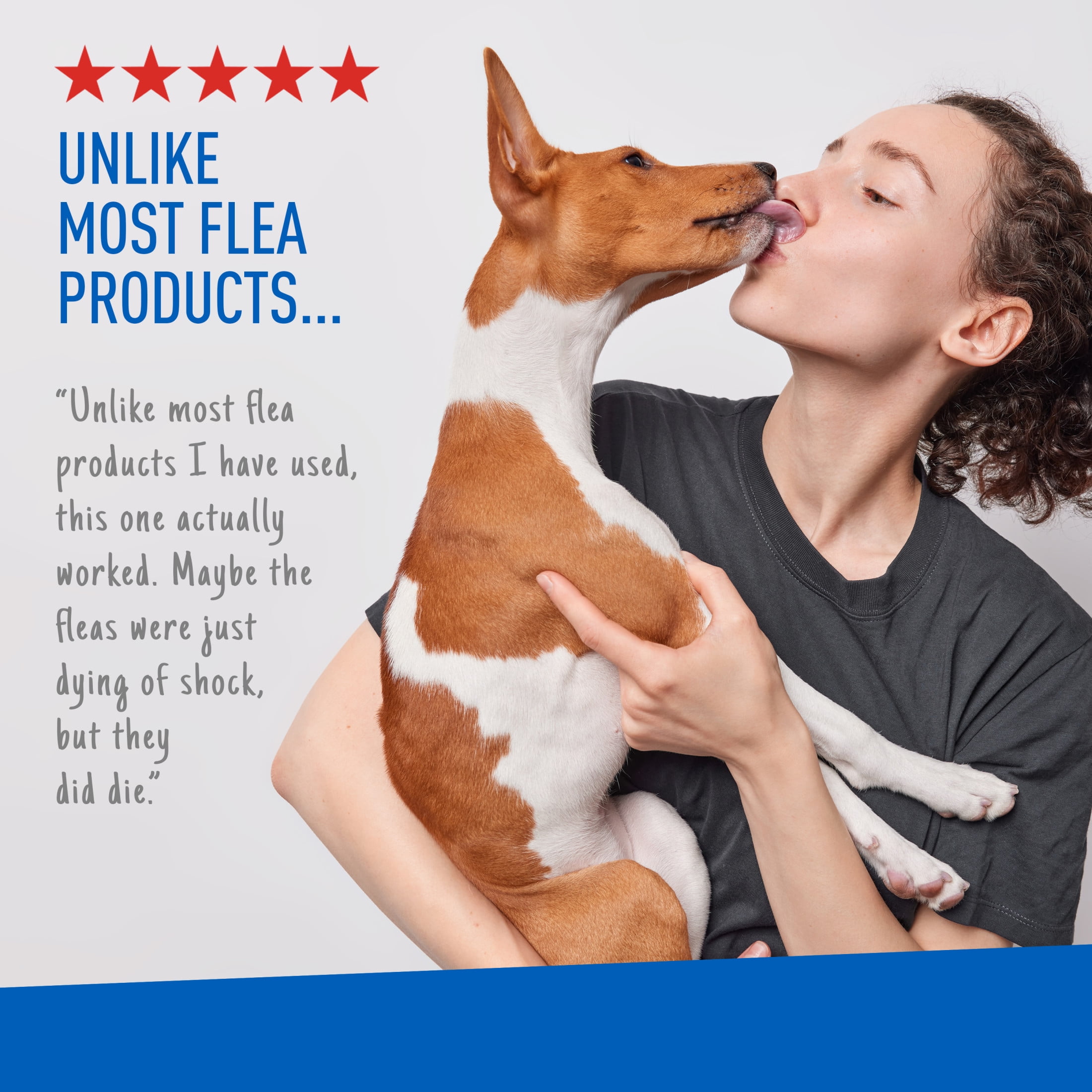 Flea dip for dogs hot sale walmart