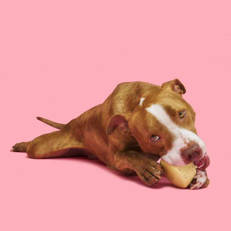 Bark Cinnamon Roll Dog Toy edu.svet.gob.gt