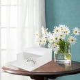 thumbnail image 1 of COOPHYA 2Pcs Storage Shelves Desktop Storage Shelf HIPS White Office Supply Multi-functional, 1 of 7