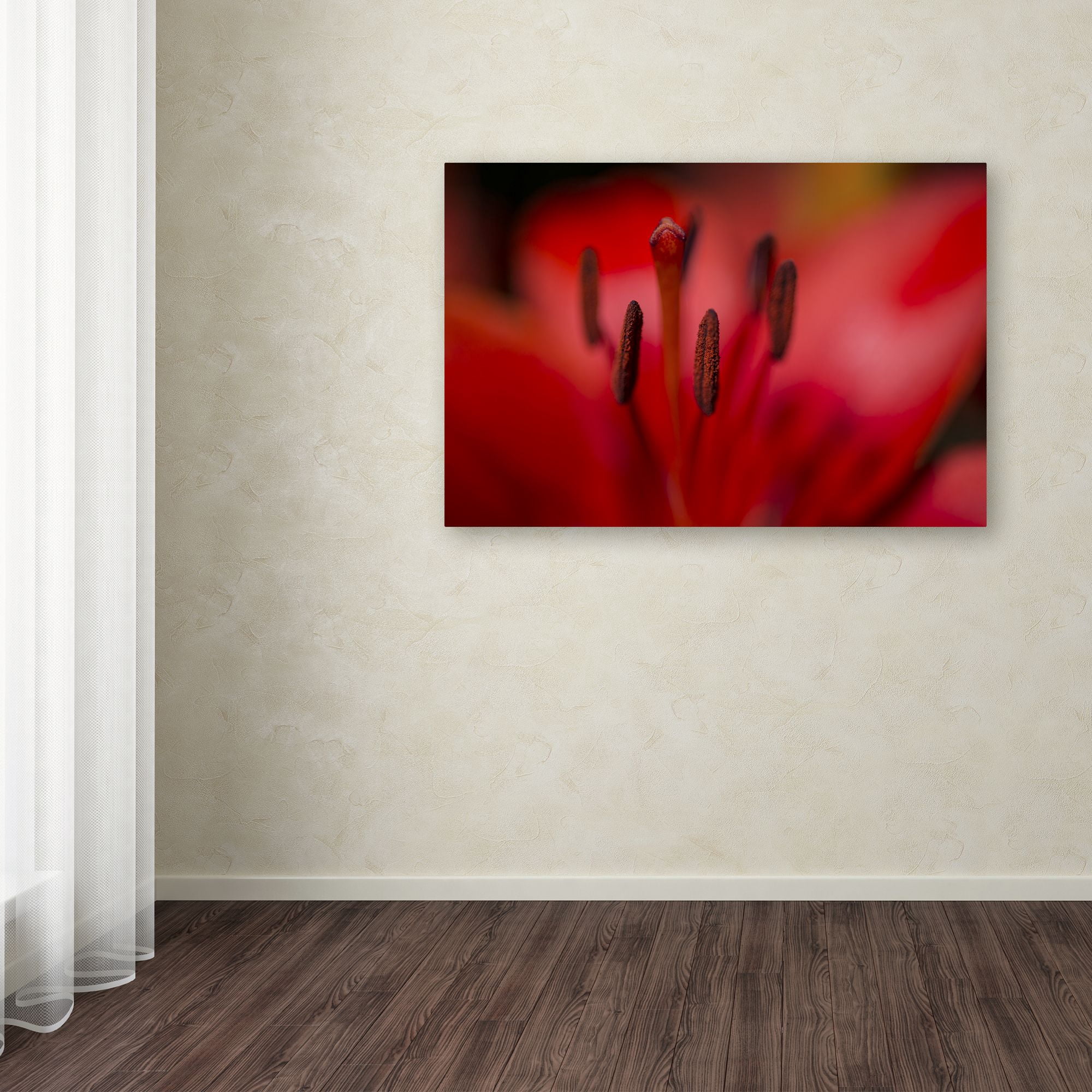 Kurt Shaffer 'Red Lily Pistils' Canvas Art 16 x 24