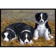thumbnail image 1 of Carolines Treasures ASA2196MAT Border Collie Chiots Tapis Intérieur Ou Extérieur&44; 18 x 27, 1 of 4