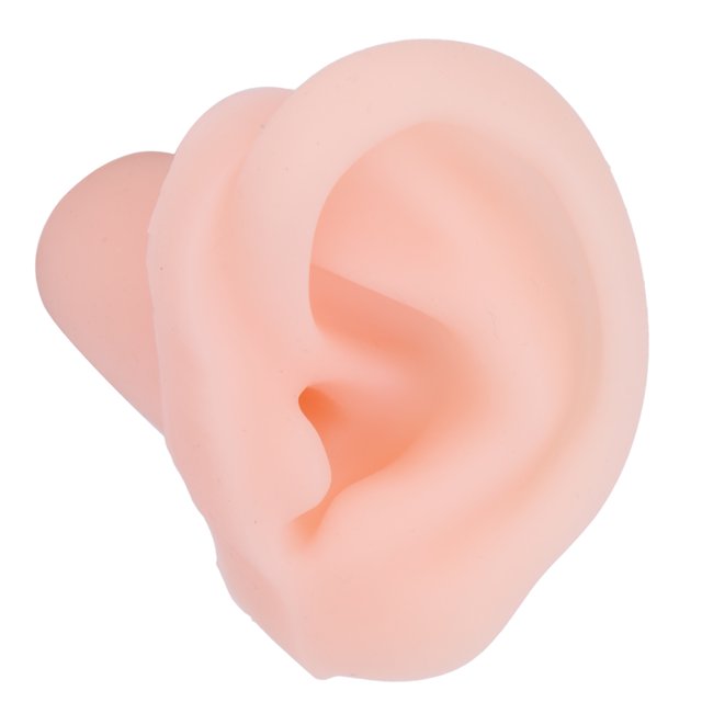 Modelo de oído, modelo de oído humano de simulación de silicona para escaparate de tienda para estudiantes de medicina para ejercicios de impresión de oído para médicos Unbranded 1411210248611