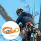 thumbnail image 4 of Cuerda de escalada DYNWAVEMX Cambium Saver Naranja 120cm, 4 of 8