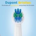thumbnail image 4 of wqlpp-8 Têtes de Brosse à Dents de Rechange Compatibles avec Brosse à Dents Oral B (Emballage Premium), 4 of 4