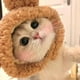 thumbnail image 1 of Pet Cats Dog Costume Hat, Cute Cubby Shape Cozy Cats Headband Decorative Cap For Small Medium Cats And Dogs,, 1 of 9