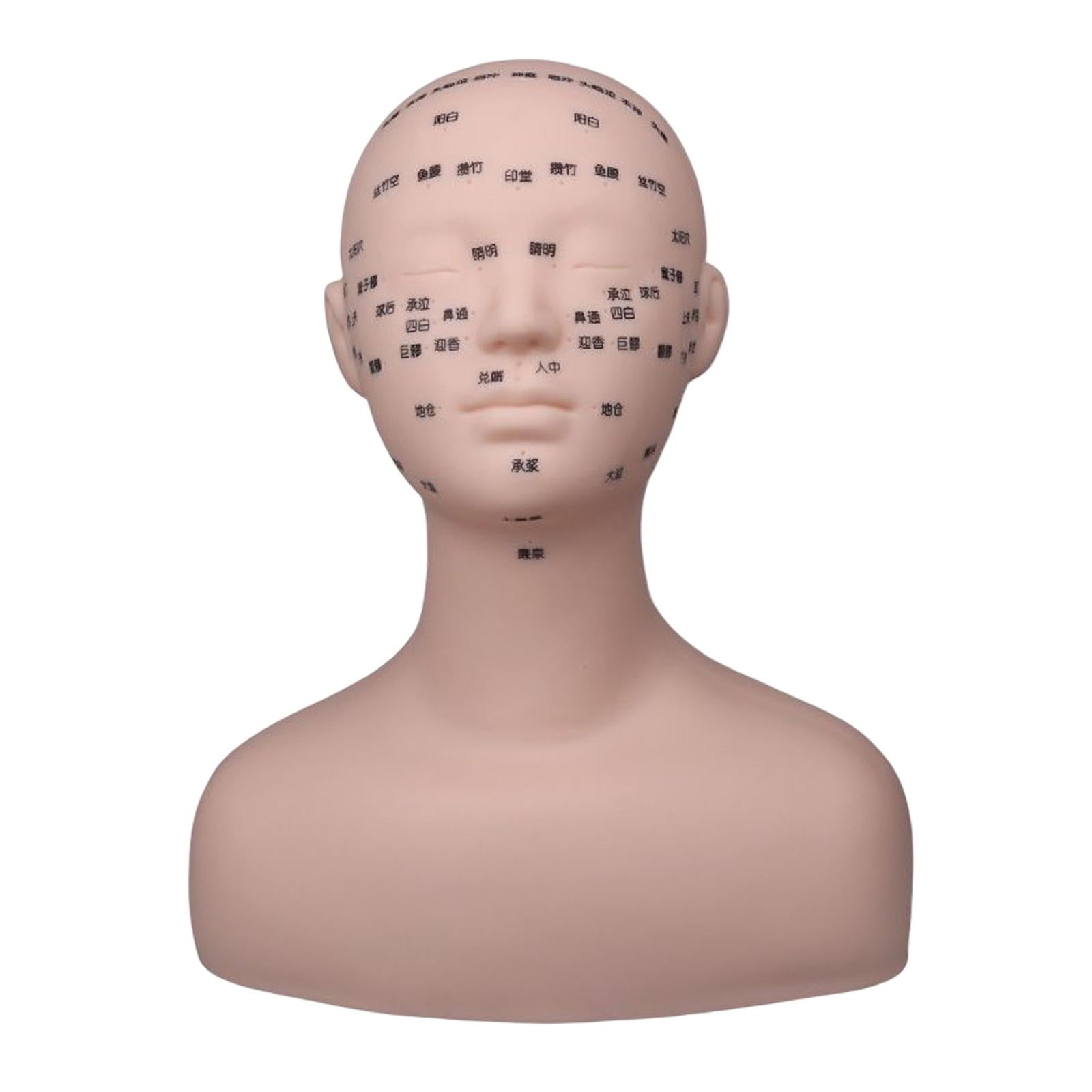 Professional Practice Training Mannequin Reusable Makeup Manikin with Shoulder Washable for Cosmetology Artists Beginners Beauty Salon
