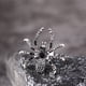 thumbnail image 4 of Anillo de Araña de Halloween, Diseño Oscuro y Misterioso, Aleación, Artesanía Exquisita, Proceso de Galvanoplastia, Piedras Preciosas Incrustadas, Accesorio de Moda Único, Perfecto para Fiestas, Tama, 4 of 6